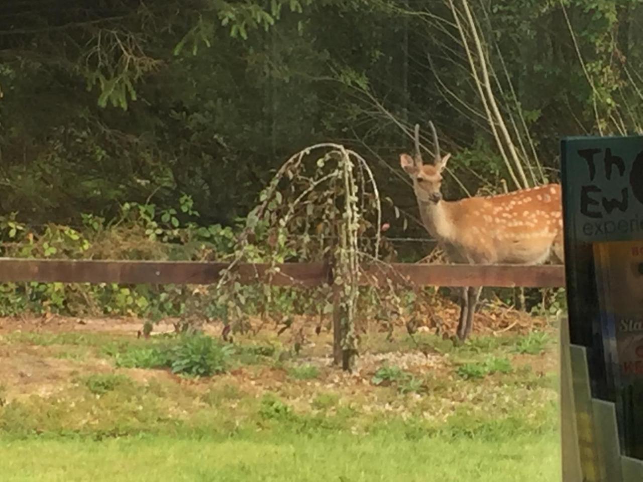 2 Mile Lodge ケンメア エクステリア 写真